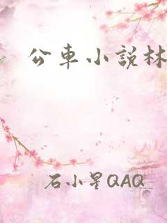 公车小说林蔓蔓