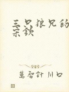 三只狼兄的宠妻宋钦