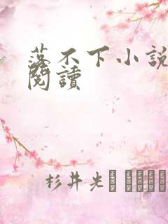 落不下小说免费阅读