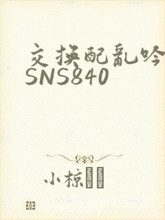 交换配乱吟粗大SNS840