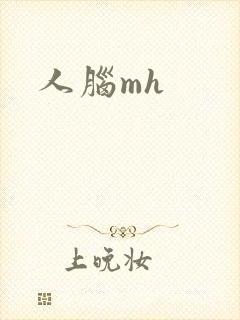 人脑mh