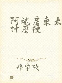 阿斌房东太太是什么梗