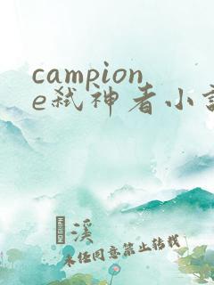 campione弑神者小说
