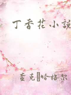 丁香花小说