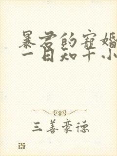 暴君的宠婚日常一日知千小说免费