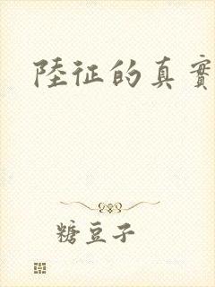 陆征的真实身份