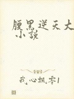 腹黑逆天大小姐 小说