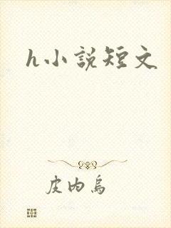 h小说短文