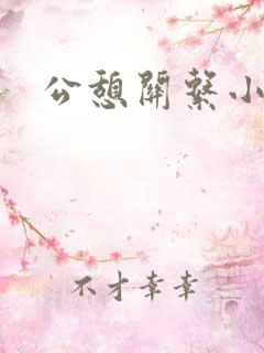 公憩关系小说