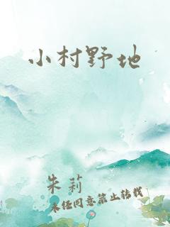 小村野地