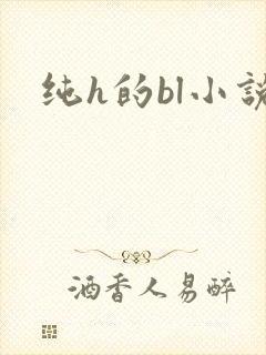 纯h的bl小说