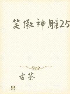 笑傲神雕25