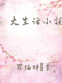 大生活小说