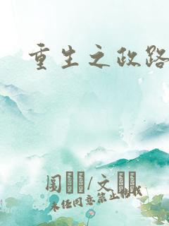 重生之政路风流