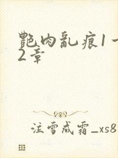 艳肉乱痕1一12章