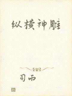 纵横神雕