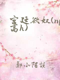 宫廷欲奴(np高h)