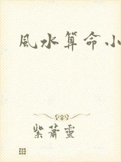 风水算命小说