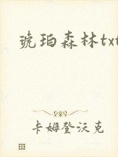 琥珀森林txt