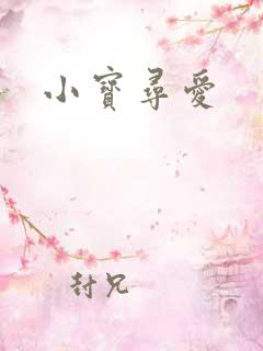 小宝寻爱