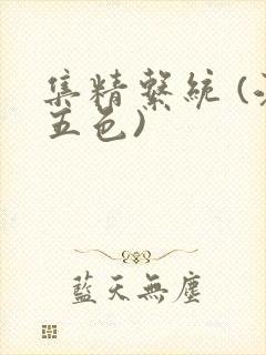 集精系统 (江五色)