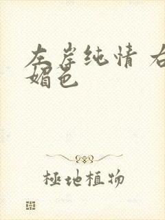 左岸纯情 右岸媚色