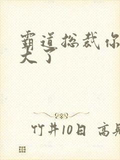 霸道总裁你的太大了