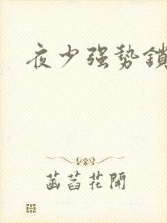 夜少强势锁婚