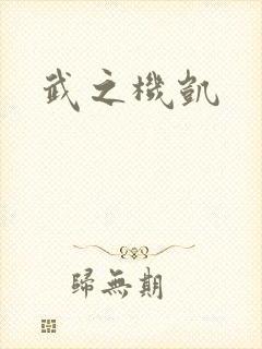 武之机凯