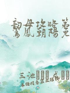 韵母攻略第二部鸾凤朝阳免费阅读