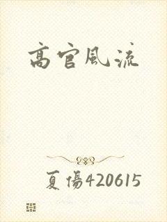 高官风流