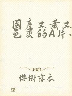 国产又黄又大又色爽的A片小说