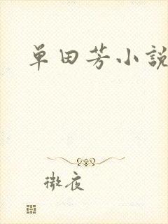 单田芳小说