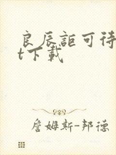 良辰讵可待txt下载