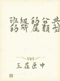 班级的公共小0的所属类型