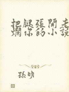 把腿张开老子臊烂你的小说