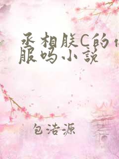 丞相朕C的你舒服吗小说