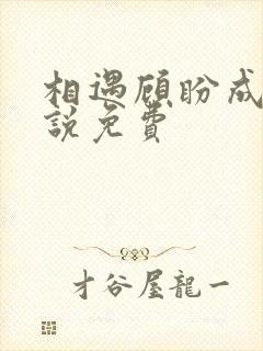 相遇顾盼成欢小说免费