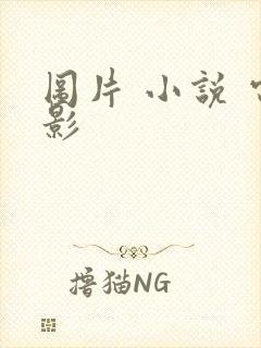 图片 小说 电影