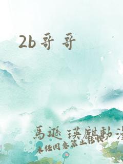 2b哥哥