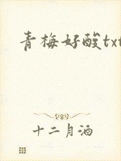 青梅好酸txt