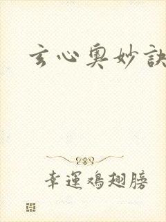 玄心奥妙诀全集