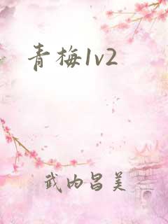 青梅1v2