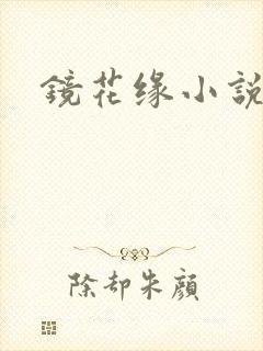 镜花缘小说