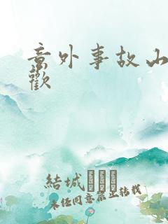 意外事故山月辞欢