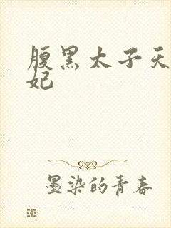 腹黑太子天降萌妃