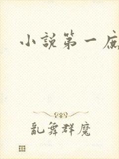 小说第一庶女