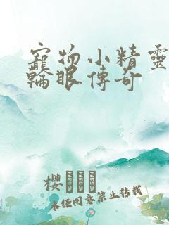 宠物小精灵之写轮眼传奇