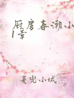 厨房春潮小说第1章