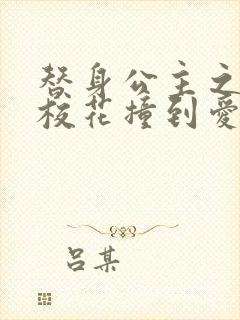 替身公主之杀手校花撞到爱